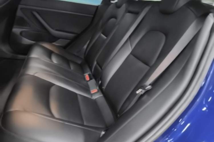 Used Tesla Model 3 2020 Revised Version Standard Range Rear-Wheel Drive – Upgraded Edition Left Rear Seat