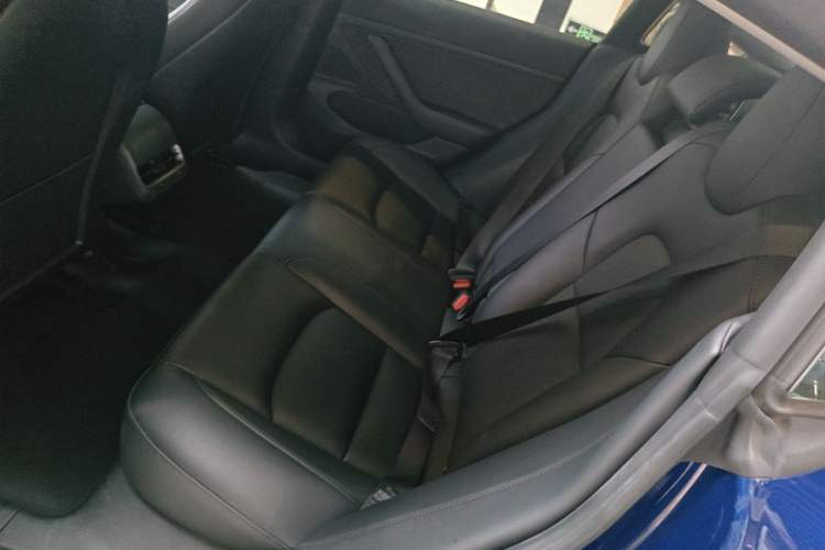 Used Tesla Model 3 2020 Standard Range Rear-Wheel Drive Upgraded Version Left Rear Seat