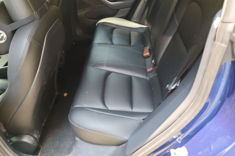 Used Tesla Model 3 2020 Long-Range Rear-Wheel-Drive Version Left Rear Seat