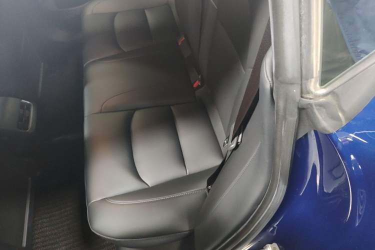 Used Tesla Model 3 2020 Standard Range Rear-Wheel Drive Upgraded Version Left Rear Seat