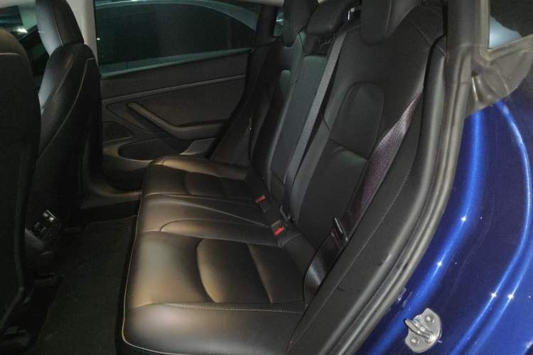 Used Tesla Model 3 2020 Long-Range Rear-Wheel-Drive Version Left Rear Seat