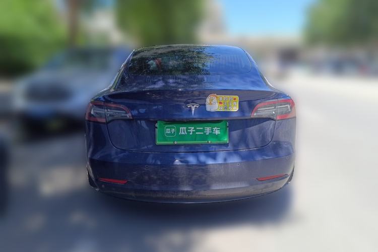 Used Tesla Model 3 2020 Standard Range Rear-Wheel Drive Upgraded Version Rear