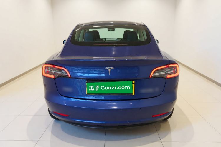 Used Tesla Model 3 2020 Standard Range Rear-Wheel Drive Upgraded Version Rear
