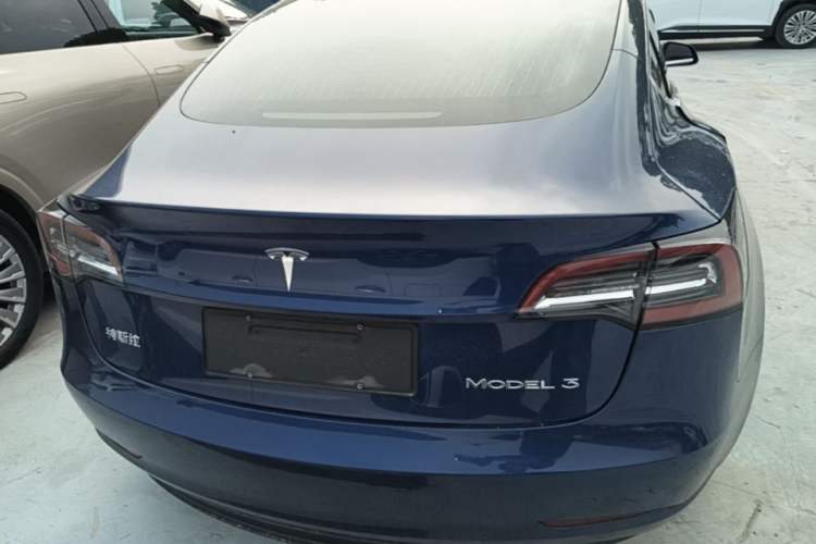 Used Tesla Model 3 2020 Standard Range Rear-Wheel Drive Upgraded Version Rear