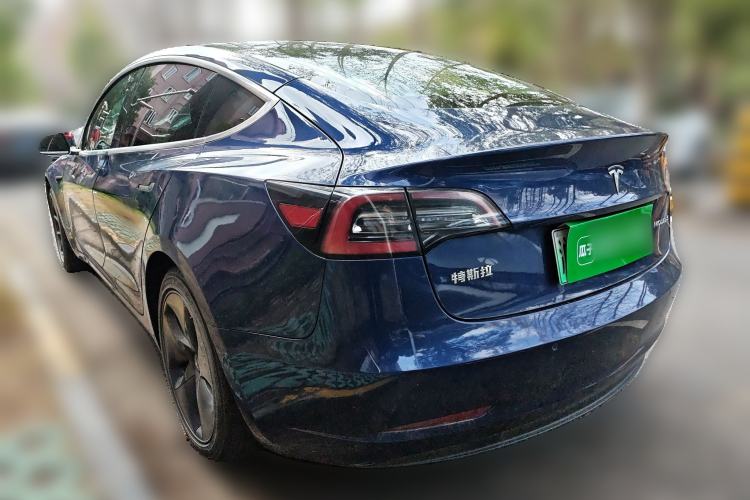Used Tesla Model 3 2020 Standard Range Rear-Wheel Drive Upgraded Version Rear Left 45 Deg