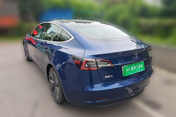 Used Tesla Model 3 2020 Standard Range Rear-Wheel Drive Upgraded Version Rear Left 45 Deg