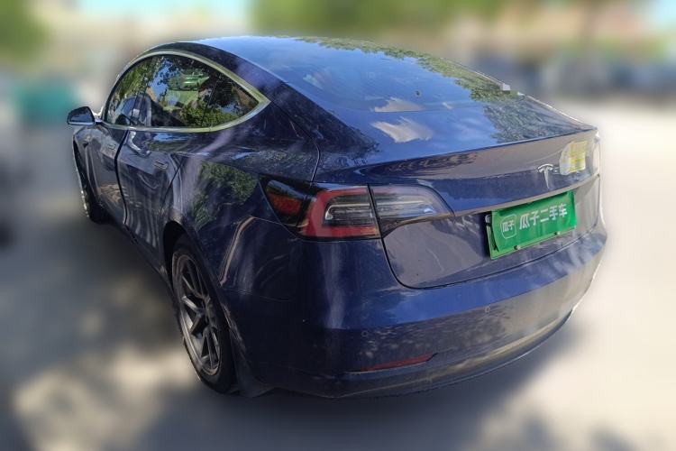 Used Tesla Model 3 2020 Standard Range Rear-Wheel Drive Upgraded Version Rear Left 45 Deg
