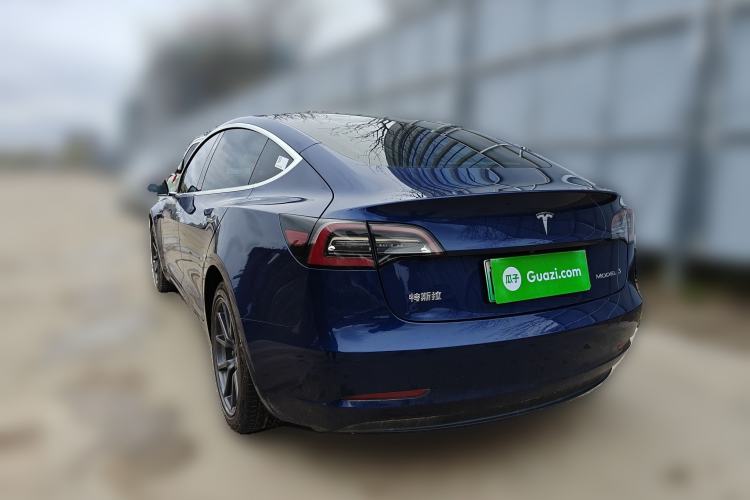 Used Tesla Model 3 2020 Revised Version Standard Range Rear-Wheel Drive – Upgraded Edition Rear Left 45 Deg