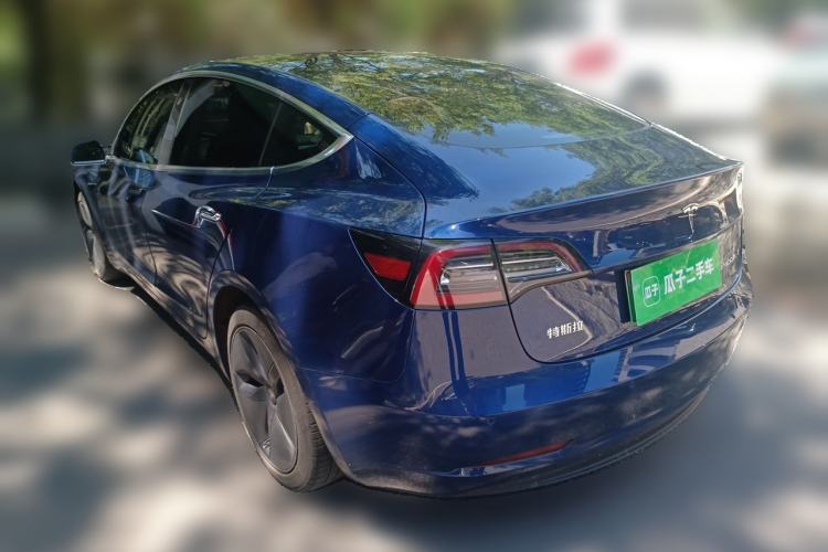 Used Tesla Model 3 2020 Standard Range Rear-Wheel Drive Upgraded Version Rear Left 45 Deg
