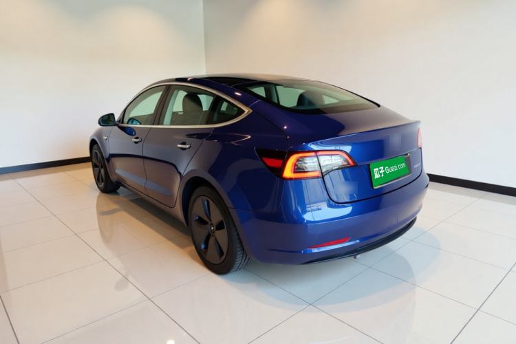Used Tesla Model 3 2020 Standard Range Rear-Wheel Drive Upgraded Version Rear Left 45 Deg