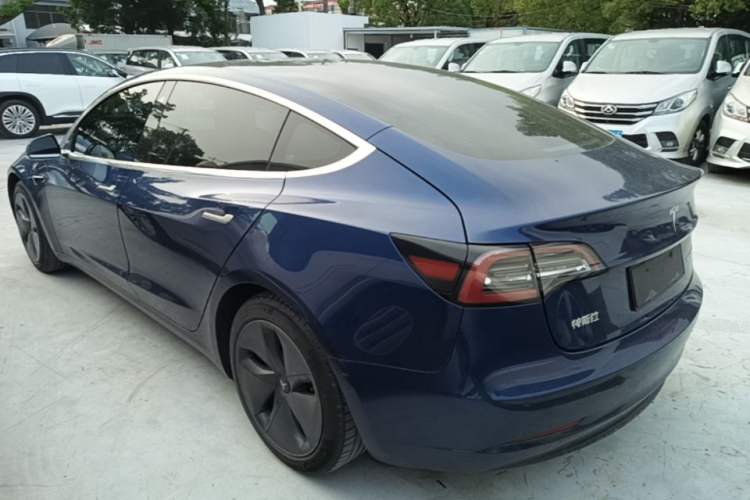Used Tesla Model 3 2020 Standard Range Rear-Wheel Drive Upgraded Version Rear Left 45 Deg