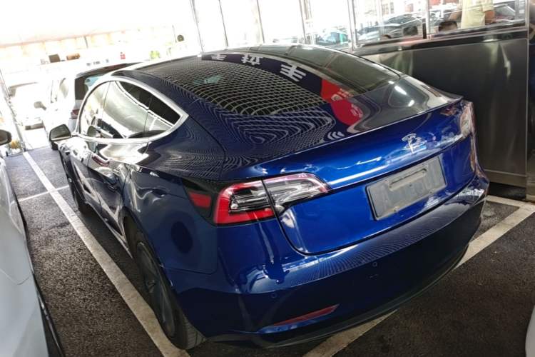 Used Tesla Model 3 2020 Standard Range Rear-Wheel Drive Upgraded Version Rear Left 45 Deg