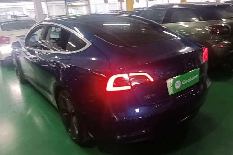 Used Tesla Model 3 2020 Standard Range Rear-Wheel Drive Upgraded Version Rear Left 45 Deg