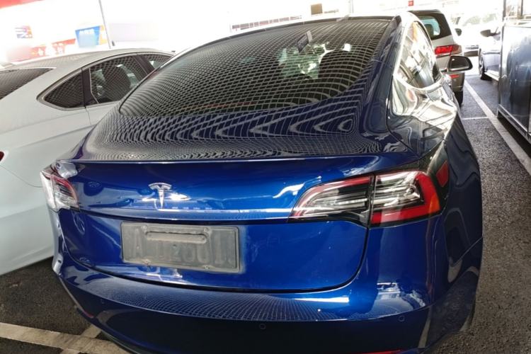 Used Tesla Model 3 2020 Standard Range Rear-Wheel Drive Upgraded Version Rear