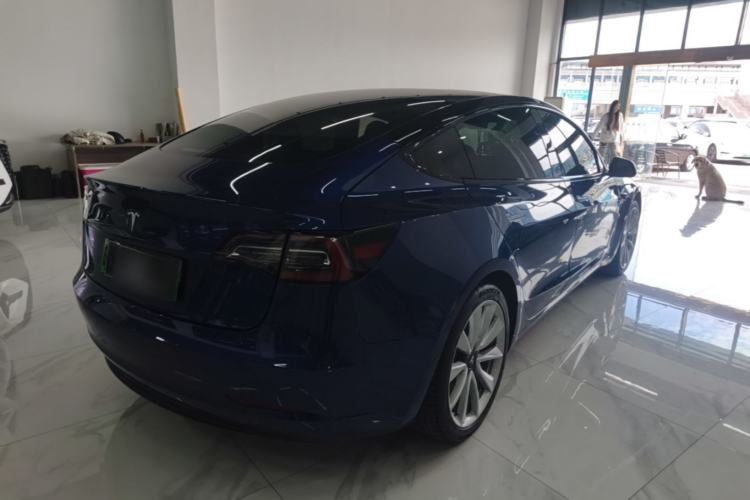 Used Tesla Model 3 2020 Standard Range Rear-Wheel Drive Upgraded Version Rear Right 45 Deg