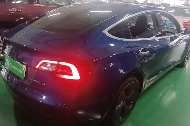 Used Tesla Model 3 2020 Standard Range Rear-Wheel Drive Upgraded Version Rear Right 45 Deg