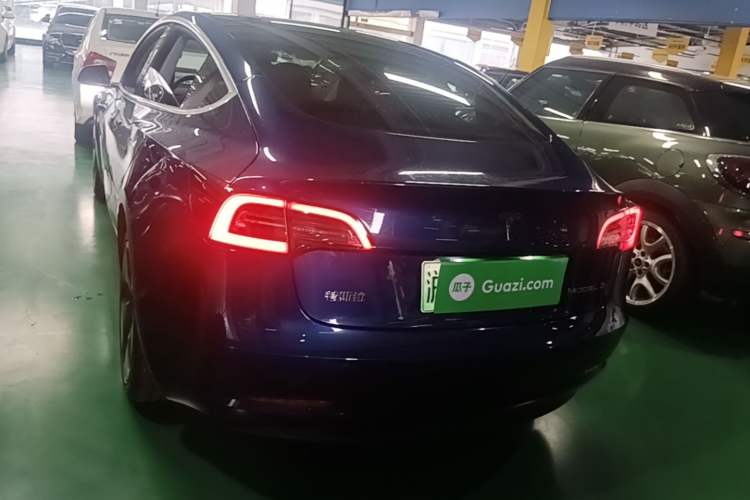 Used Tesla Model 3 2020 Standard Range Rear-Wheel Drive Upgraded Version Rear