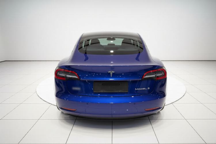 Used Tesla Model 3 2020 Standard Range Rear-Wheel Drive Upgraded Version Rear