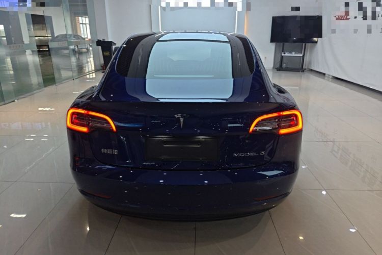 Used Tesla Model 3 2020 Standard Range Rear-Wheel Drive Upgraded Version Rear