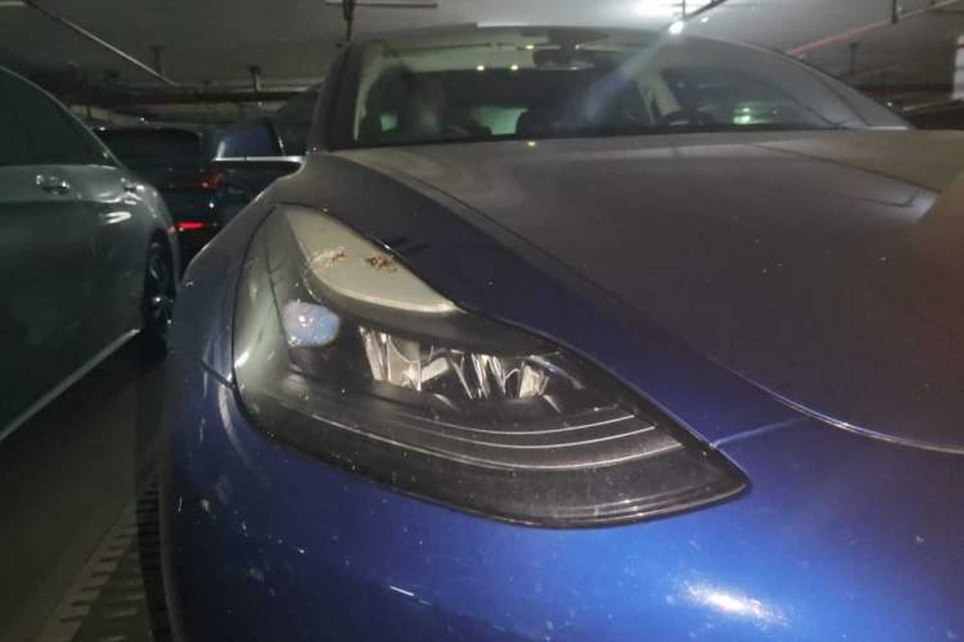 Used Tesla Model 3 2020 Long-Range Rear-Wheel-Drive Version Right Front Headlight