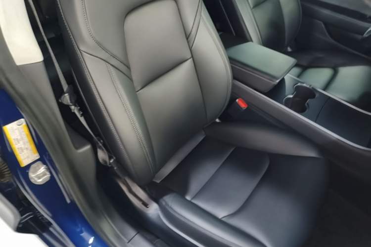 Used Tesla Model 3 2020 Standard Range Rear-Wheel Drive Upgraded Version Right Front Seat
