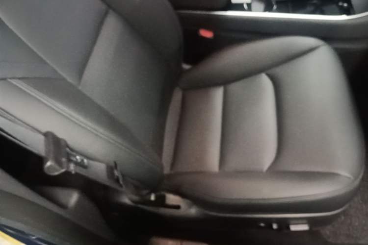 Used Tesla Model 3 2020 Standard Range Rear-Wheel Drive Upgraded Version Right Front Seat