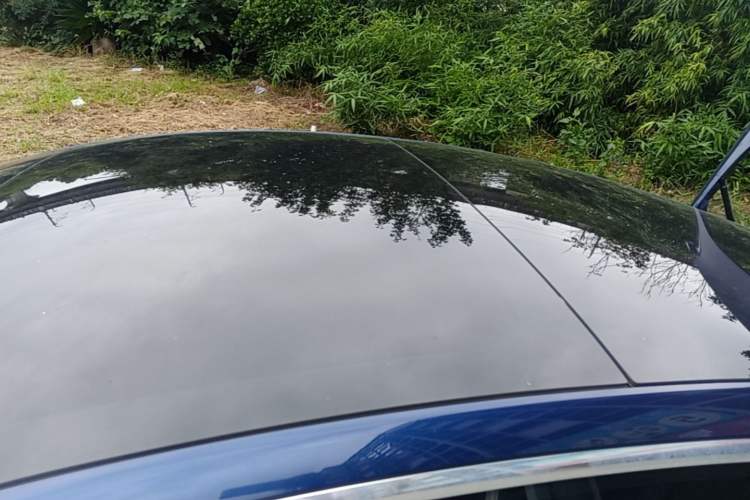 Used Tesla Model 3 2020 Revised Version Standard Range Rear-Wheel Drive – Upgraded Edition Roof
