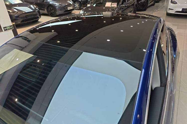 Used Tesla Model 3 2020 Standard Range Rear-Wheel Drive Upgraded Version Roof