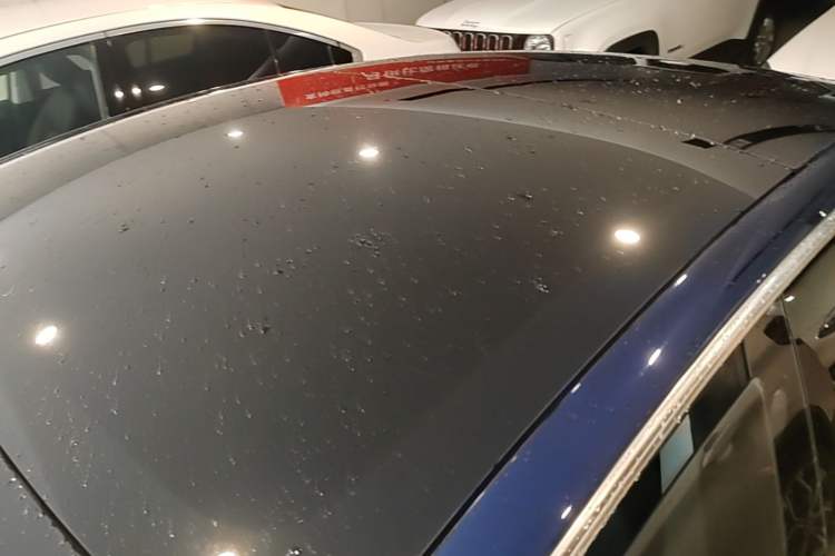 Used Tesla Model 3 2020 Revised Version Standard Range Rear-Wheel Drive – Upgraded Edition Roof