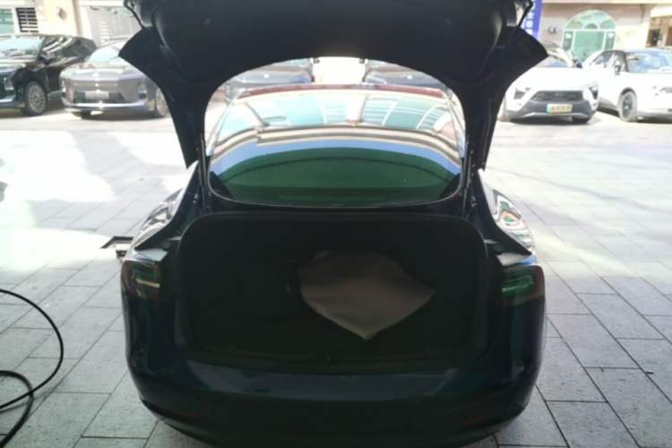 Used Tesla Model 3 2020 Standard Range Rear-Wheel Drive Upgraded Version Trunk