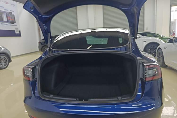 Used Tesla Model 3 2020 Standard Range Rear-Wheel Drive Upgraded Version Trunk