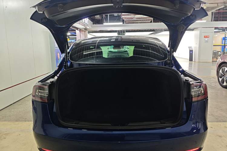 Used Tesla Model 3 2020 Standard Range Rear-Wheel Drive Upgraded Version Trunk