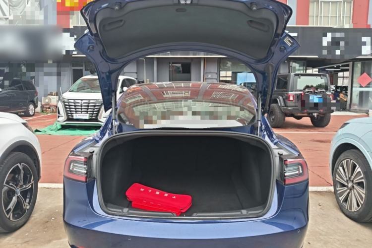 Used Tesla Model 3 2020 Standard Range Rear-Wheel Drive Upgraded Version Trunk