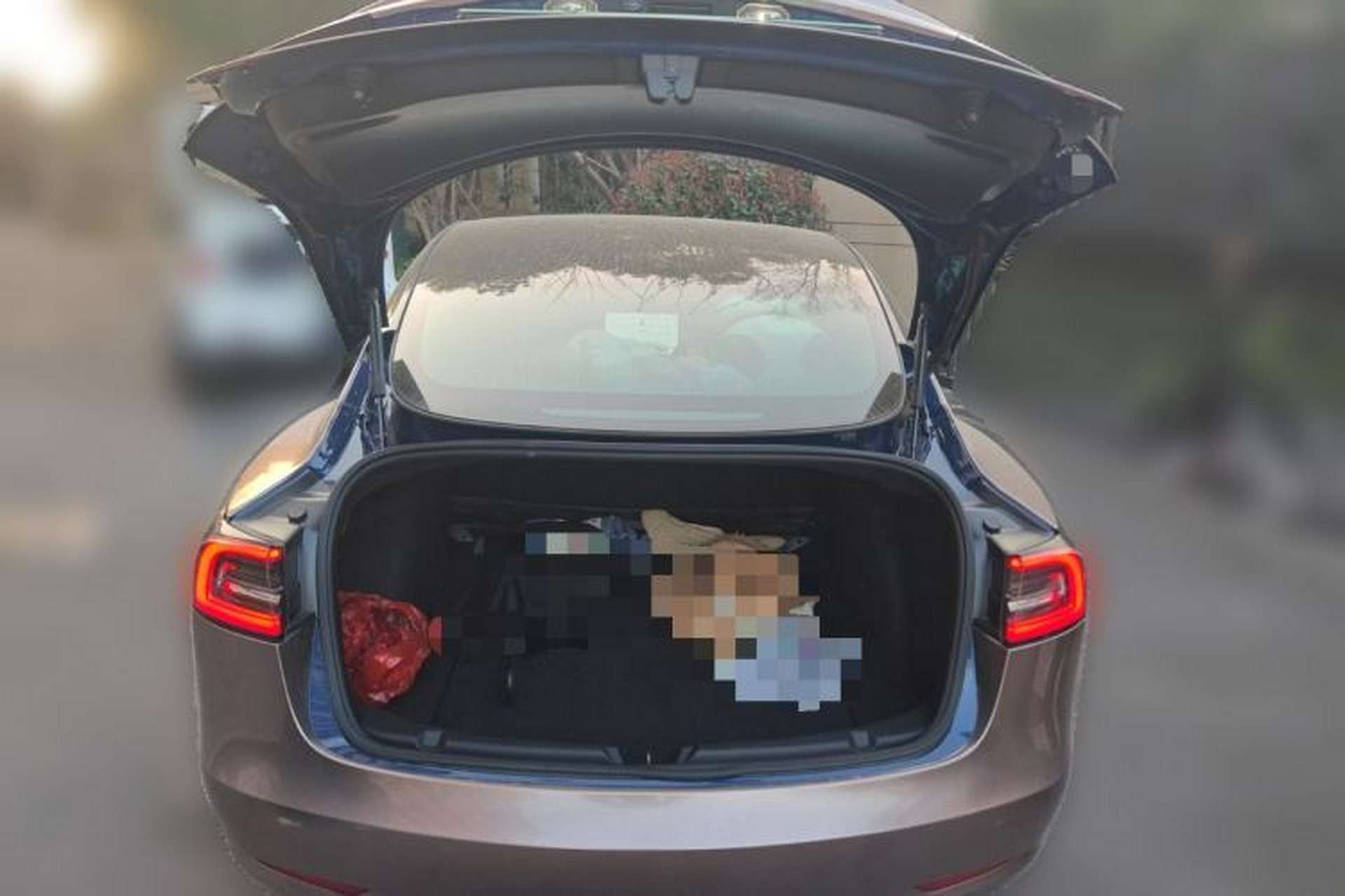 Used Tesla Model 3 2020 Revised Version Standard Range Rear-Wheel Drive – Upgraded Edition Trunk