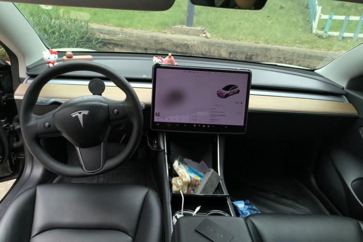 Used Tesla Model 3 2020 Standard Range Rear-Wheel Drive Upgraded Version Center Console