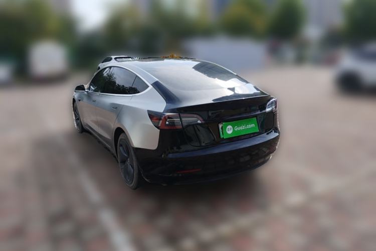 Used Tesla Model 3 2020 Standard Range Rear-Wheel Drive Upgraded Version Rear Left 45 Deg