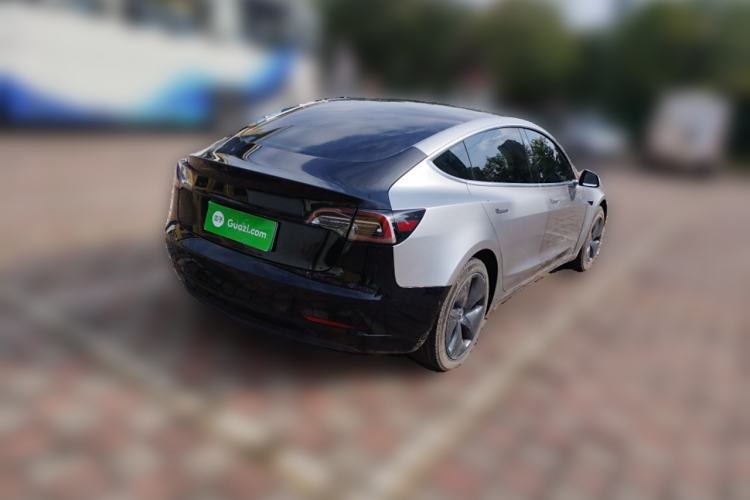 Used Tesla Model 3 2020 Standard Range Rear-Wheel Drive Upgraded Version Rear Right 45 Deg