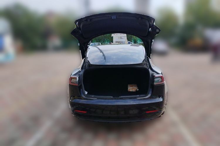 Used Tesla Model 3 2020 Standard Range Rear-Wheel Drive Upgraded Version Trunk