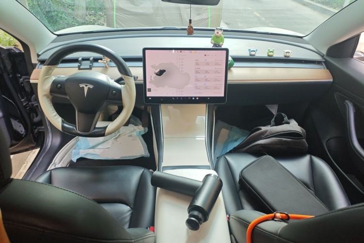Used Tesla Model 3 2020 Standard Range Rear-Wheel Drive Upgraded Version Center Console