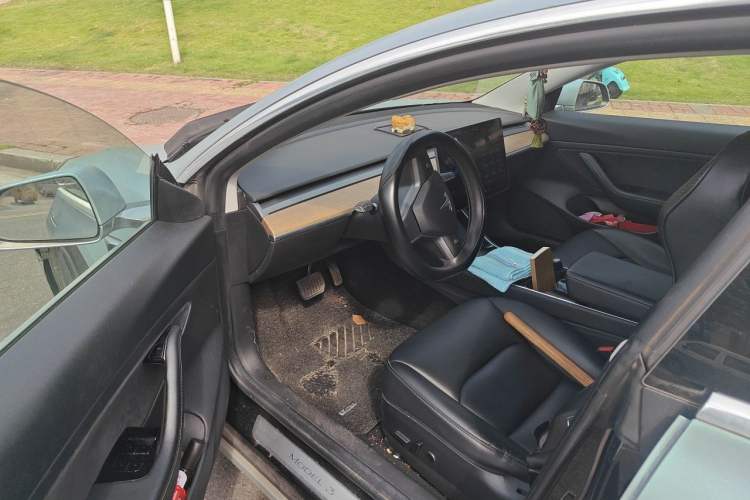 Used Tesla Model 3 2020 Standard Range Rear-Wheel Drive Upgraded Version Driver Seat