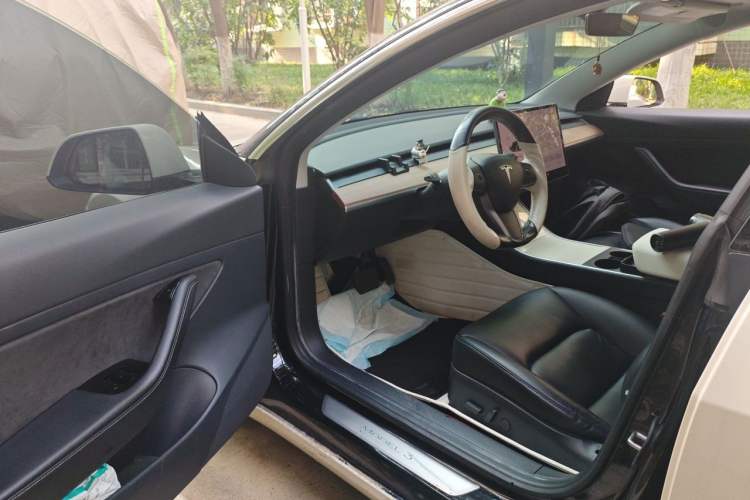 Used Tesla Model 3 2020 Standard Range Rear-Wheel Drive Upgraded Version Driver Seat