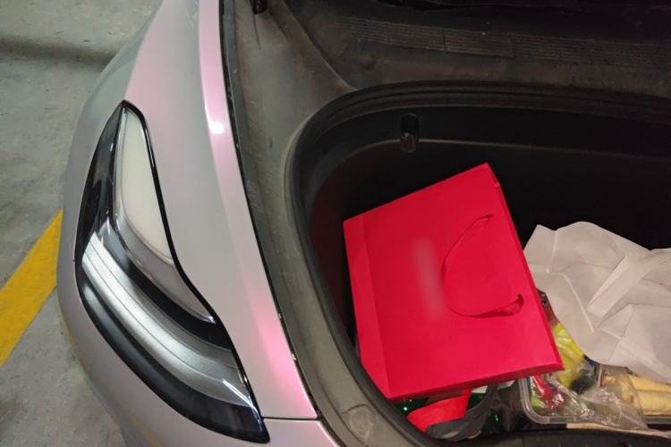 Used Tesla Model 3 2020 Revised Version Standard Range Rear-Wheel Drive – Upgraded Edition Engine Bay Right