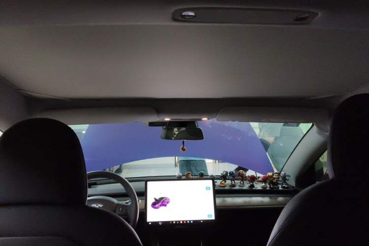 Used Tesla Model 3 2020 Revised Version Standard Range Rear-Wheel Drive – Upgraded Edition Headliner