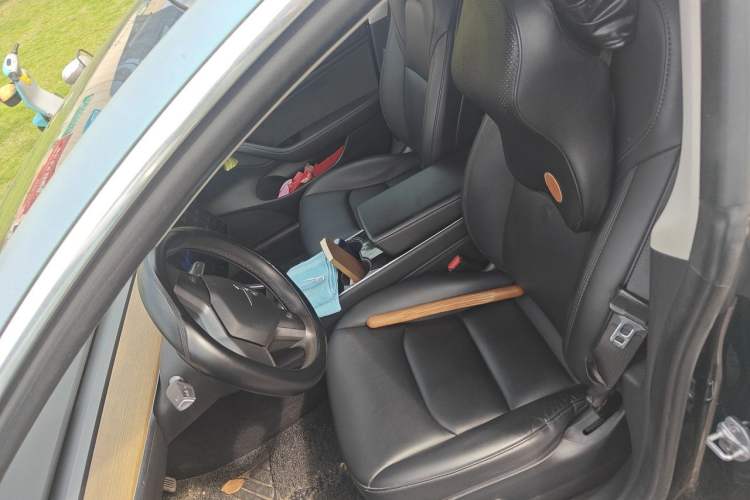 Used Tesla Model 3 2020 Standard Range Rear-Wheel Drive Upgraded Version Left Front Seat