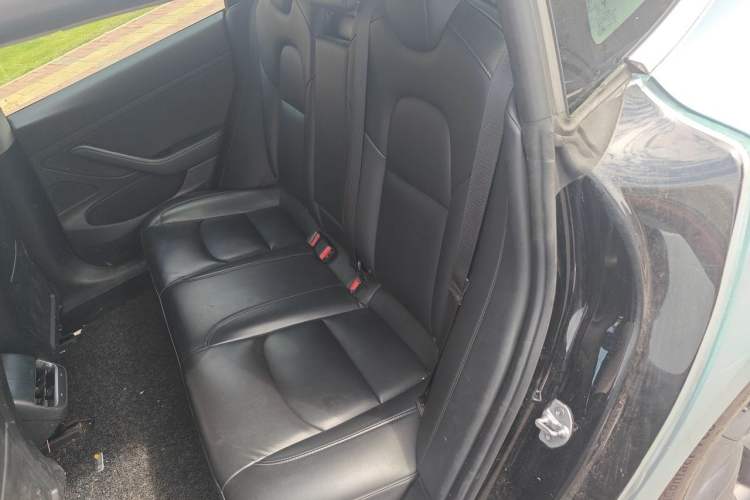 Used Tesla Model 3 2020 Standard Range Rear-Wheel Drive Upgraded Version Left Rear Seat