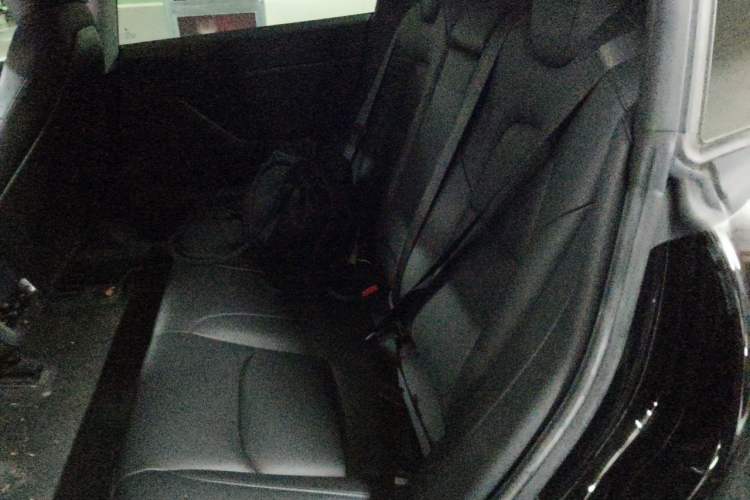 Used Tesla Model 3 2020 Revised Version Standard Range Rear-Wheel Drive – Upgraded Edition Left Rear Seat