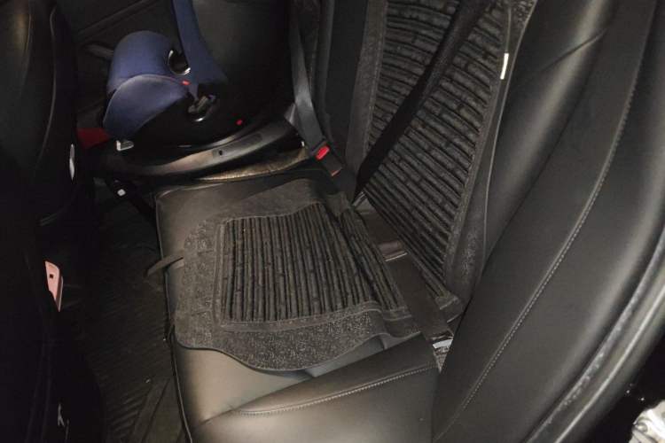 Used Tesla Model 3 2020 Revised Version Standard Range Rear-Wheel Drive – Upgraded Edition Left Rear Seat