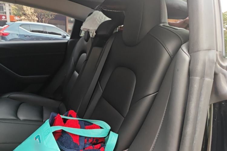 Used Tesla Model 3 2020 Revised Version Standard Range Rear-Wheel Drive – Upgraded Edition Left Rear Seat