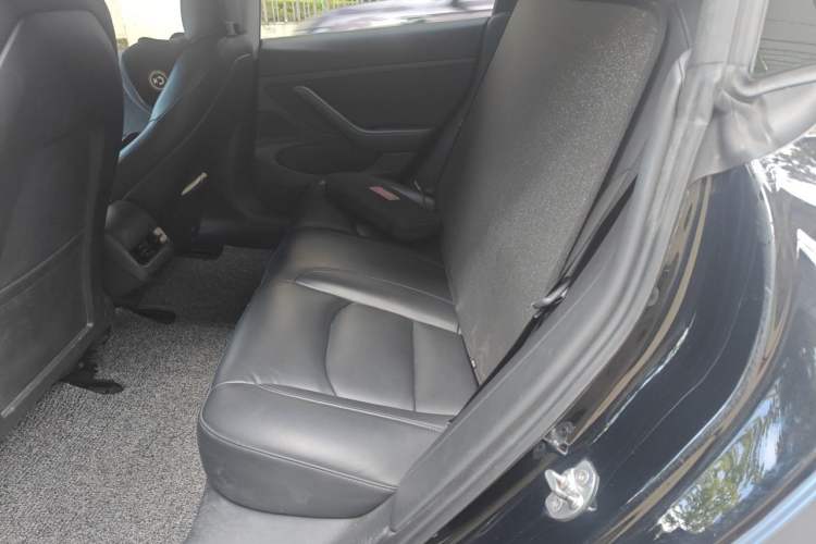 Used Tesla Model 3 2020 Revised Version Standard Range Rear-Wheel Drive – Upgraded Edition Left Rear Seat