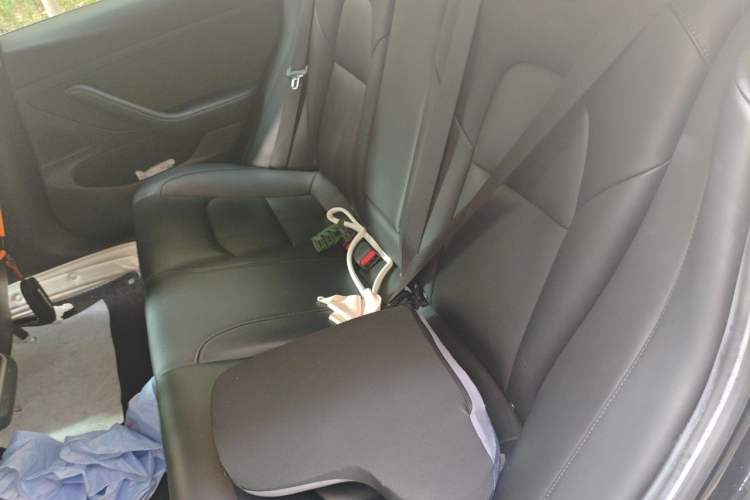 Used Tesla Model 3 2020 Standard Range Rear-Wheel Drive Upgraded Version Left Rear Seat